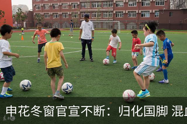 申花冬窗官宣不断：归化国脚 混血前锋 教练组有新人